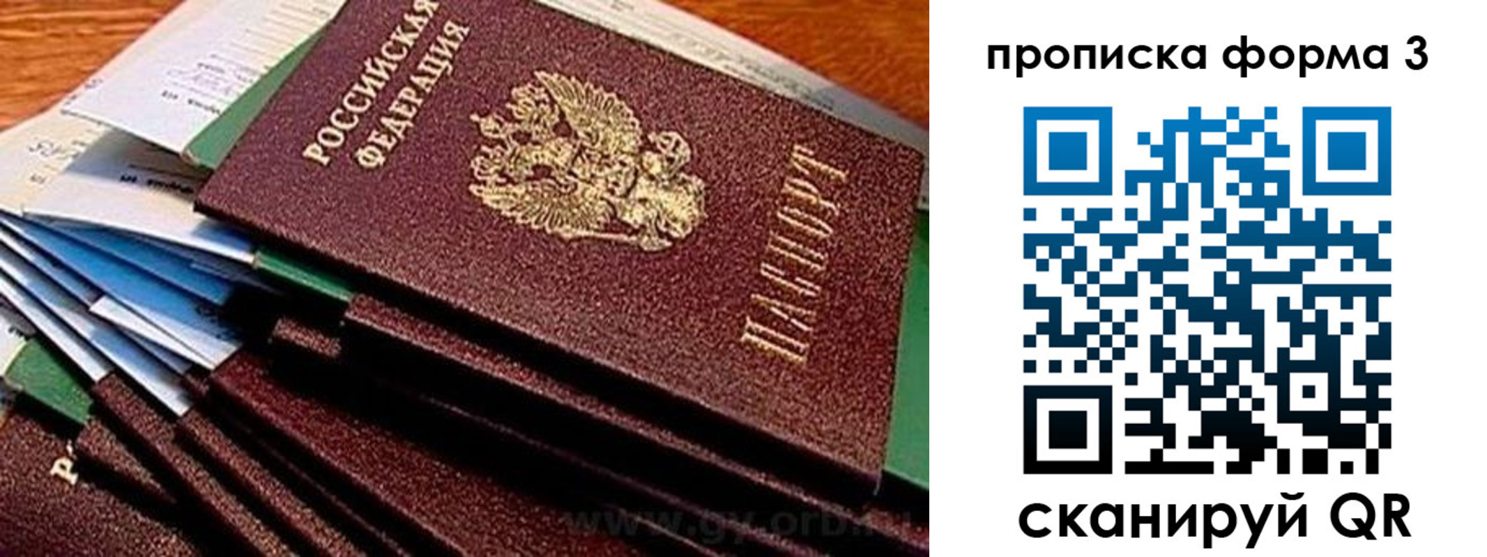 прописка иностранных граждан в Светлогорске